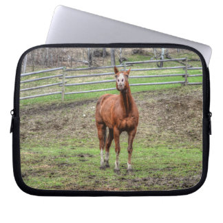 Funda Para Portátil Gracioso Stallion Chestnut Horse Whinning Photo