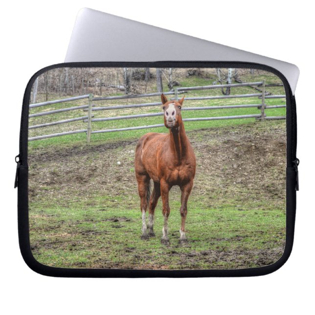 Funda Para Portátil Gracioso Stallion Chestnut Horse Whinning Photo (Frente)