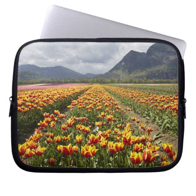 Funda Para Portátil Granja Tulip cerca de Agassiz, Columbia Británica (Frente)