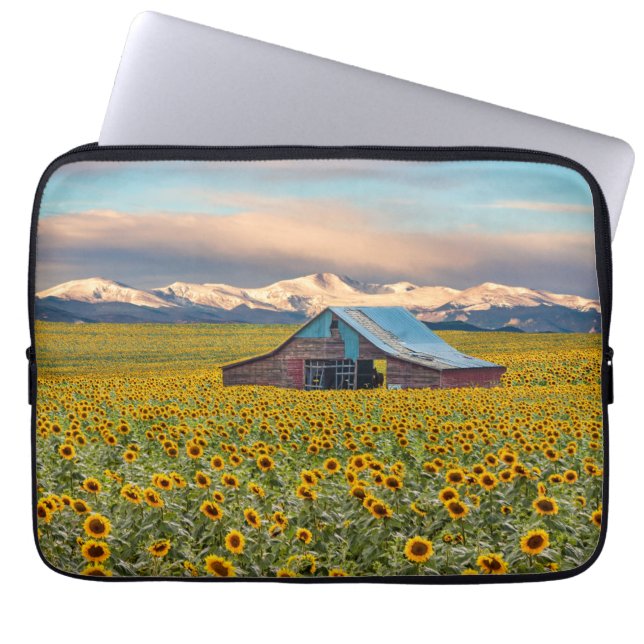 Funda Para Portátil Granjas | Campo de girasol (Frente)