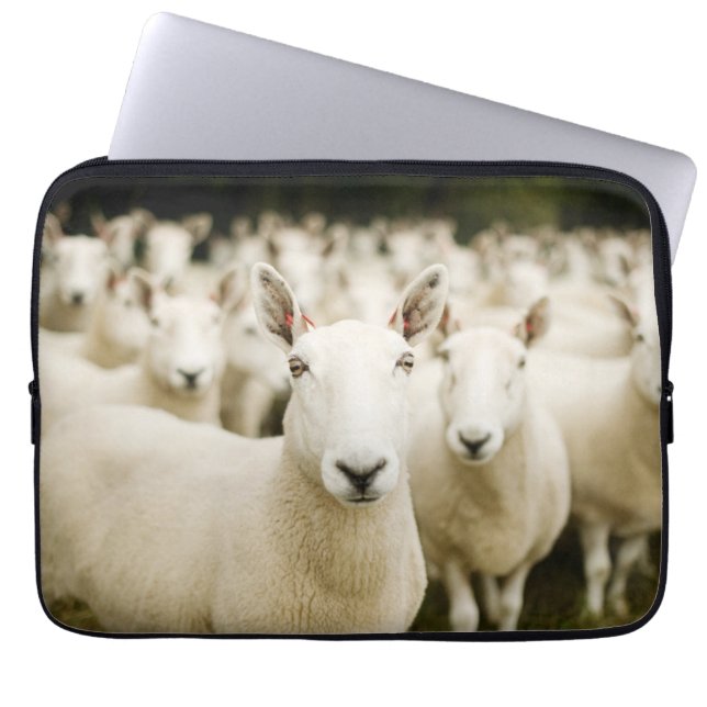 Funda Para Portátil Granjas | Manada de ovejas (Frente)