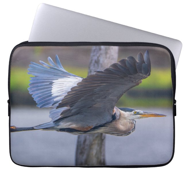 Funda Para Portátil Great Blue Heron Flight Wildlife Bird Photography (Frente)