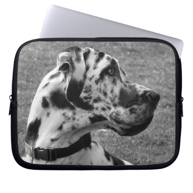 FUNDA PARA PORTÁTIL GREAT DANE (Frente)