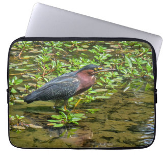 Funda Para Portátil Green Heron (Butorides virescens)