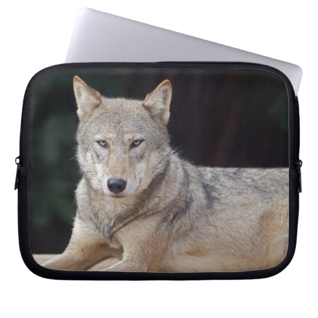 Funda para portátil Grey Wolf (Frente)
