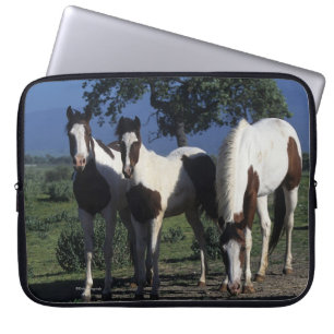 Funda Para Portátil Grupo de caballos de la pintura