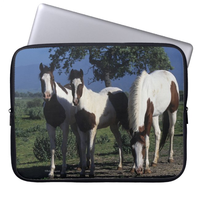Funda Para Portátil Grupo de caballos de la pintura (Frente)