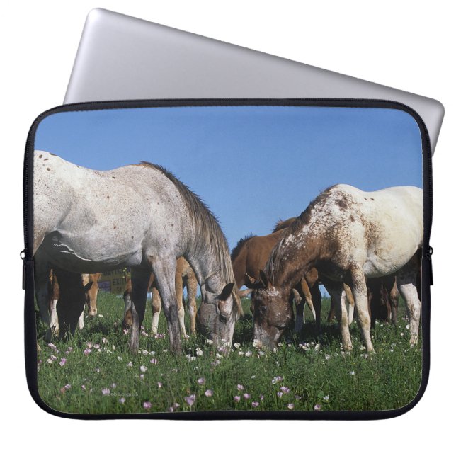 Funda Para Portátil Grupo de caballos del Appaloosa que pastan (Frente)