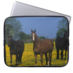 Funda Para Portátil Grupo de caballos excelentes