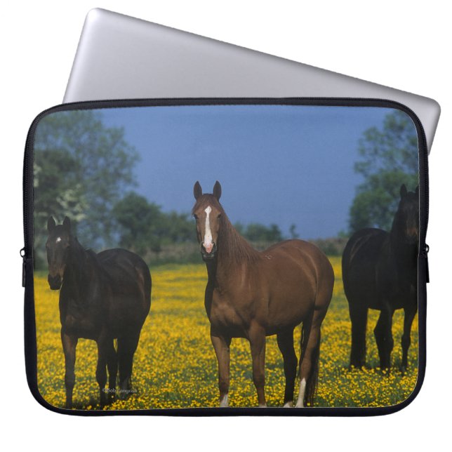 Funda Para Portátil Grupo de caballos excelentes (Frente)