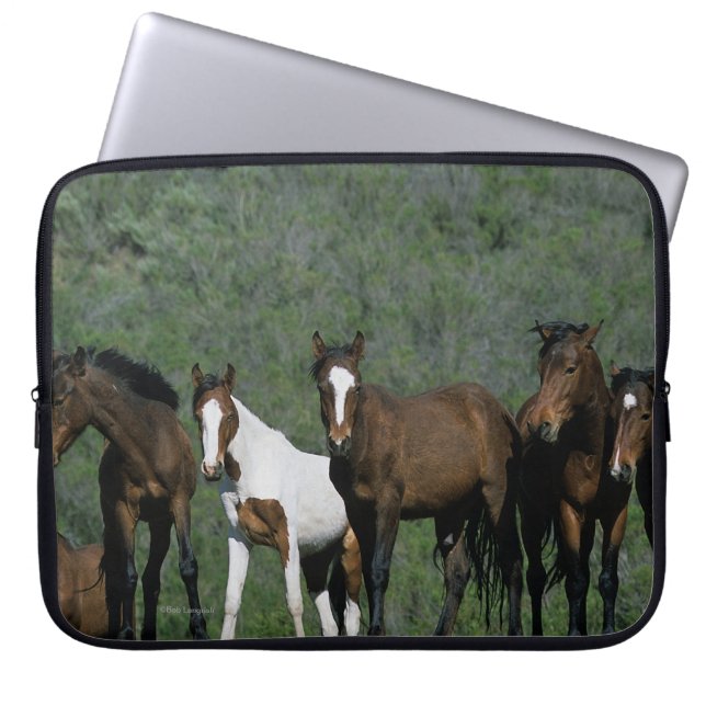 Funda Para Portátil Grupo de caballos salvajes del mustango (Frente)