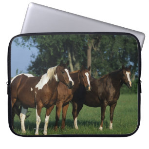 Funda Para Portátil Grupo de colocación de los caballos de la pintura