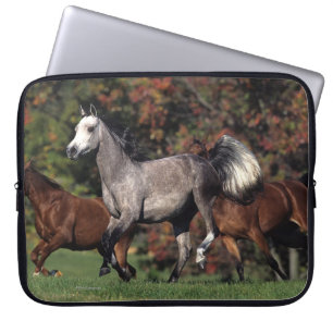 Funda Para Portátil Grupo de funcionamiento árabe de los caballos