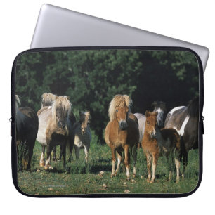 Funda Para Portátil Grupo de potros miniatura