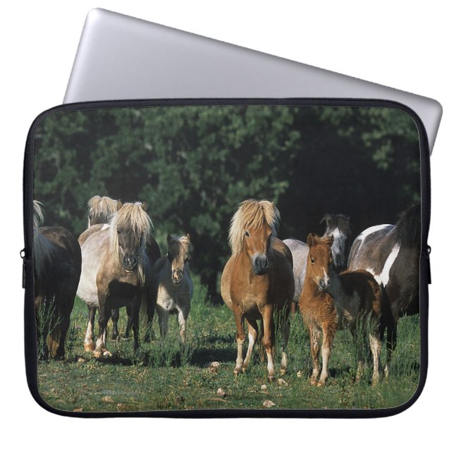 Funda Para Portátil Grupo de potros miniatura (Frente)