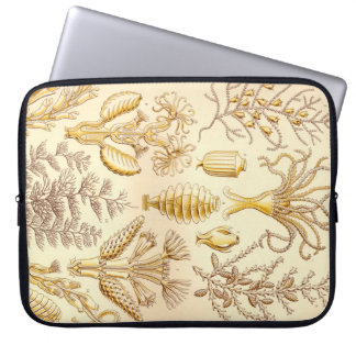 Funda Para Portátil Haeckel Antiguo