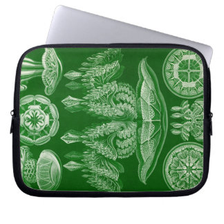 Funda Para Portátil Haeckel Antiguo