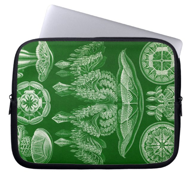 Funda Para Portátil Haeckel Antiguo (Frente)