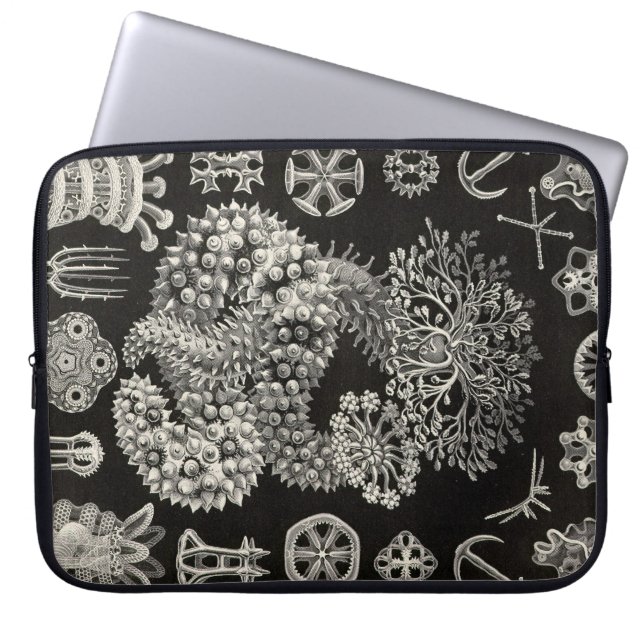 Funda Para Portátil Haeckel Antiguo (Frente)