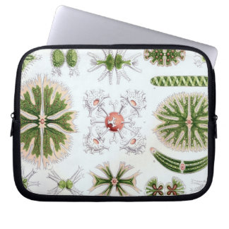 Funda Para Portátil Haeckel Antiguo