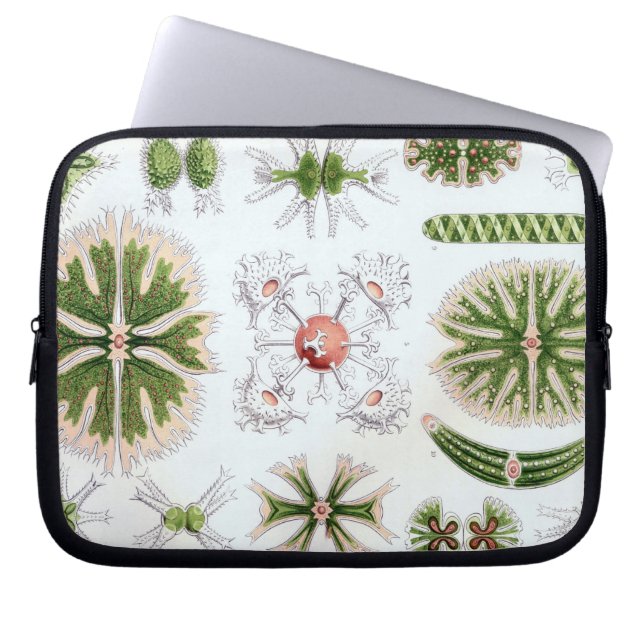 Funda Para Portátil Haeckel Antiguo (Frente)