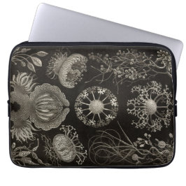 Funda Para Portátil Haeckel de cosecha