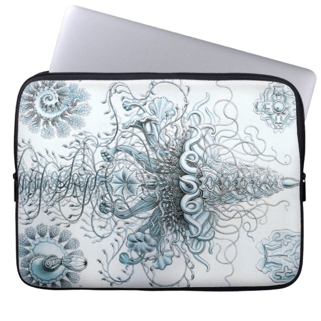 Funda Para Portátil Haeckel de cosecha (Frente)