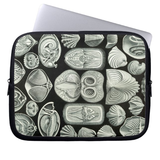 Funda Para Portátil Haeckel Vintage (Frente)