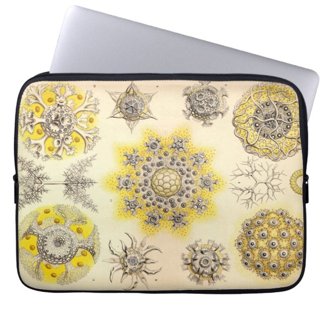 Funda Para Portátil Haeckel Vintage (Frente)