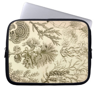 Funda Para Portátil Haeckel Vintage