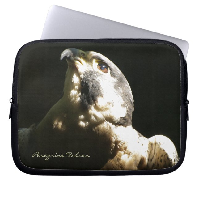 Funda Para Portátil Halcón Peregrine - Retrato de foto de vida silvest (Frente)