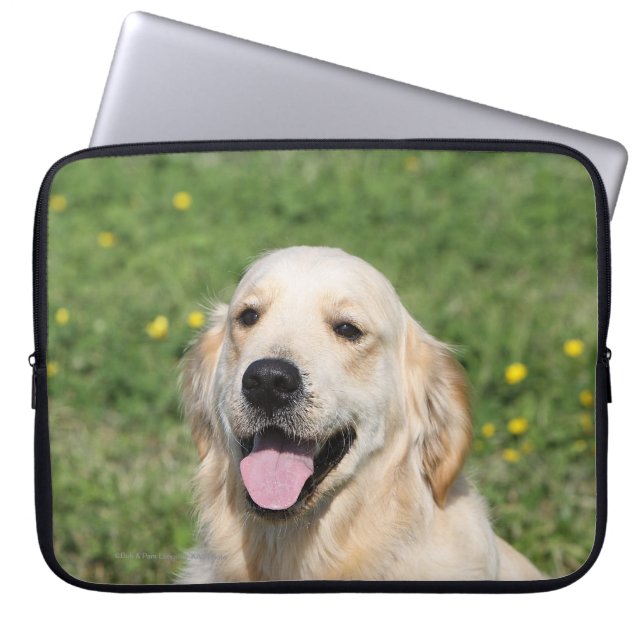 Funda Para Portátil Headshot 1 del golden retriever (Frente)