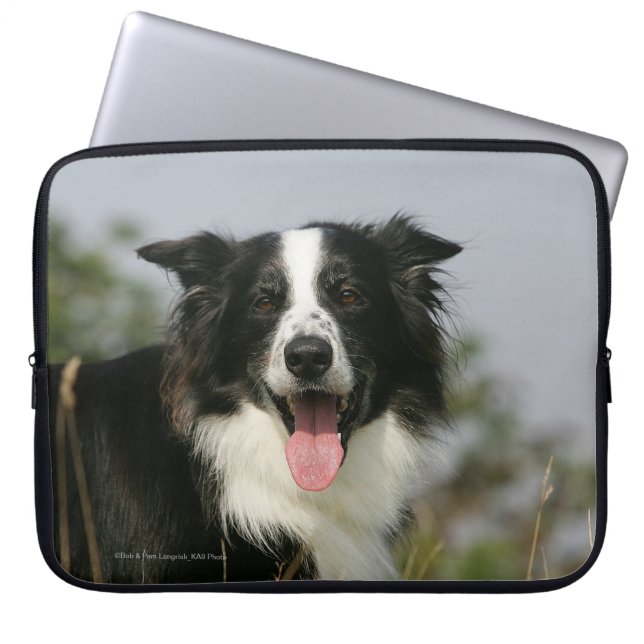 Funda Para Portátil Headshot 1 del jadeo del border collie (Frente)