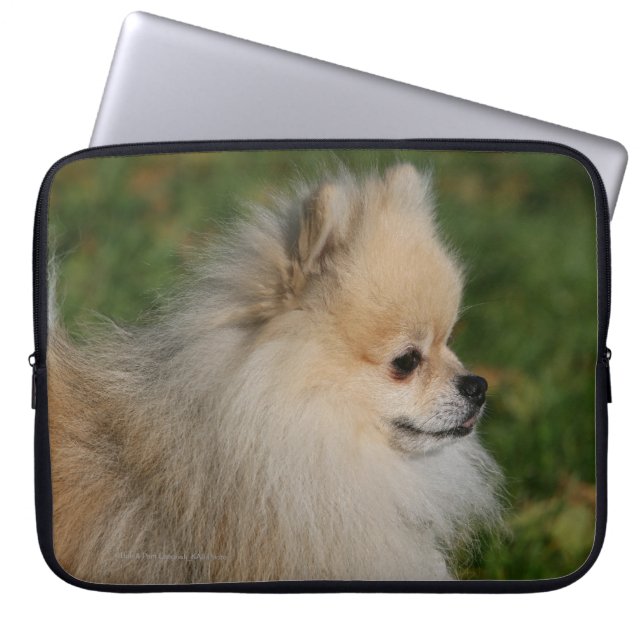 Funda Para Portátil Headshot 2 de Pomeranian (Frente)