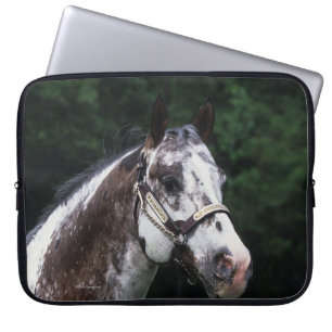 Funda Para Portátil Headshot 2 del caballo del Appaloosa