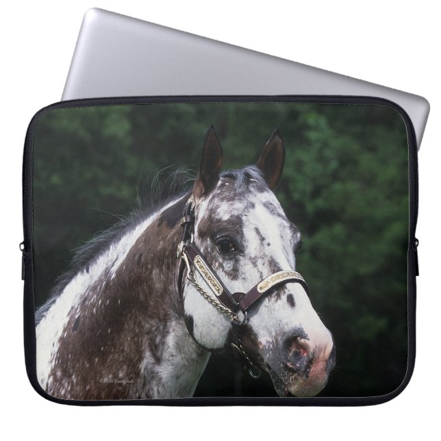 Funda Para Portátil Headshot 2 del caballo del Appaloosa (Frente)