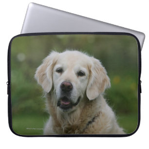 Funda Para Portátil Headshot 2 del golden retriever