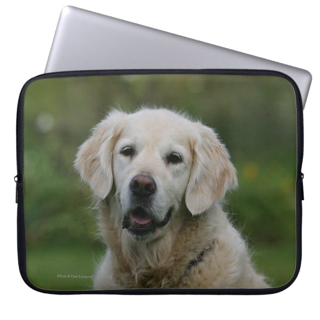 Funda Para Portátil Headshot 2 del golden retriever (Frente)
