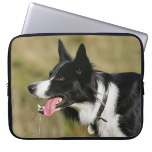 Funda Para Portátil Headshot 2 del jadeo del border collie