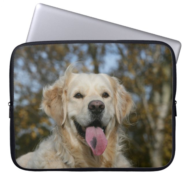 Funda Para Portátil Headshot 3 del golden retriever (Frente)