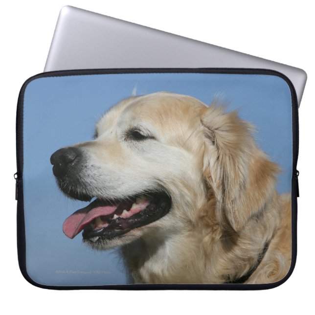 Funda Para Portátil Headshot 4 del golden retriever (Frente)
