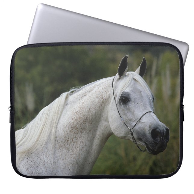 Funda Para Portátil Headshot árabe 1 del caballo (Frente)