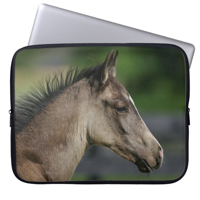 Funda Para Portátil Headshot cuarto del potro del caballo (Frente)
