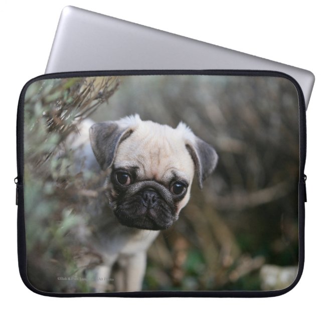 Funda Para Portátil Headshot del perrito del barro amasado del (Frente)