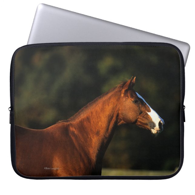 Funda Para Portátil Headshot excelente del caballo (Frente)