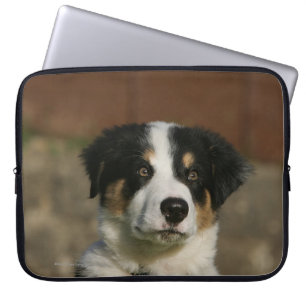 Funda Para Portátil Headshot viejo del perrito del border collie de 12