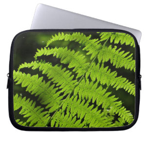 Funda Para Portátil helecho verde