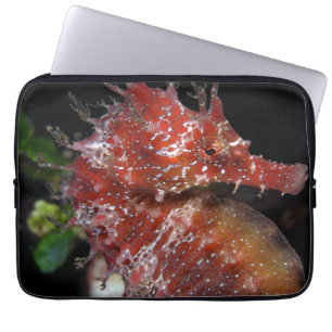 Funda Para Portátil Hembra Begur del potro del Seahorse el