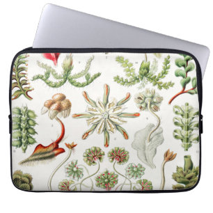 Funda Para Portátil Hepaticae Lebermoose por Ernst Haeckel