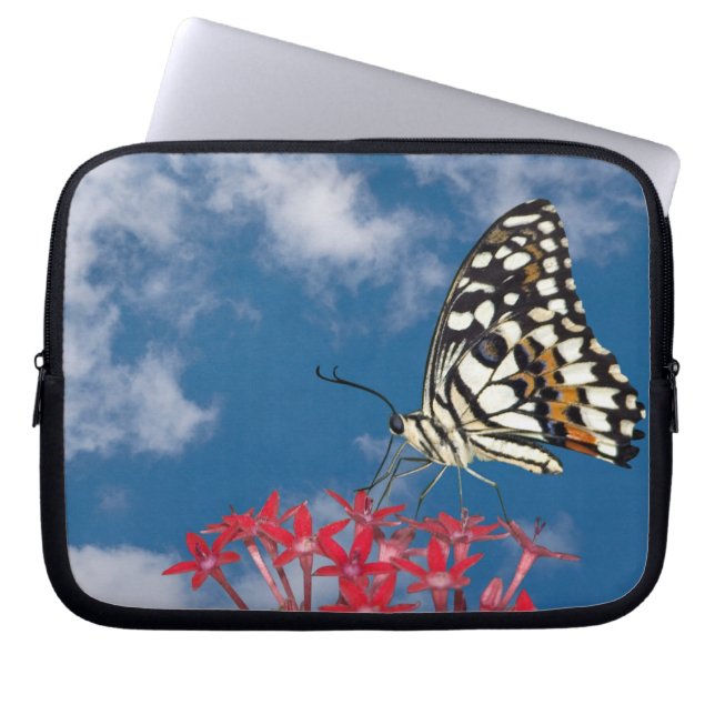 Funda Para Portátil Hermosa mariposa (Frente)